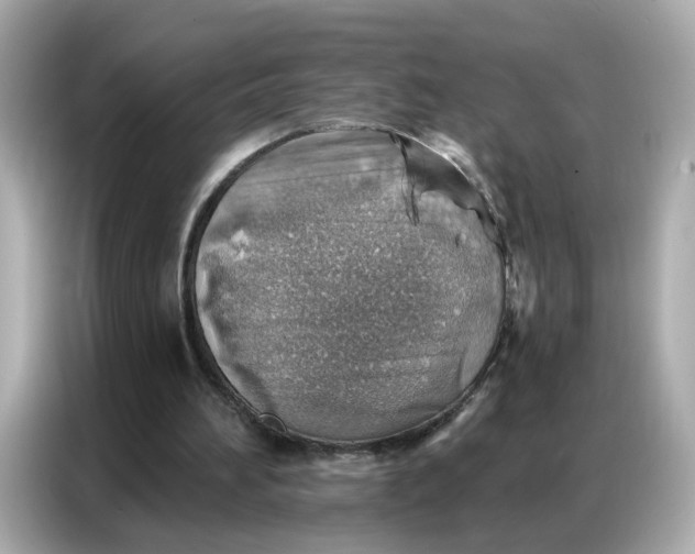 X0000086930196200704301124