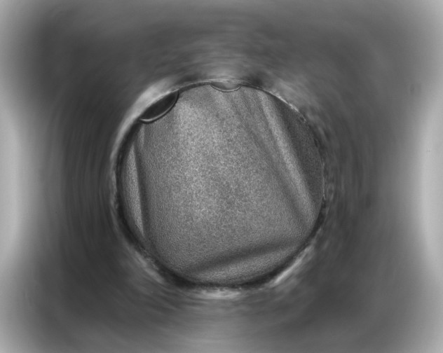 X0000086930198200704301124