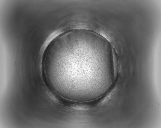 X0000086930199200704301124