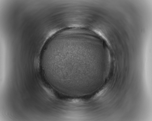 X0000086930204200704301124