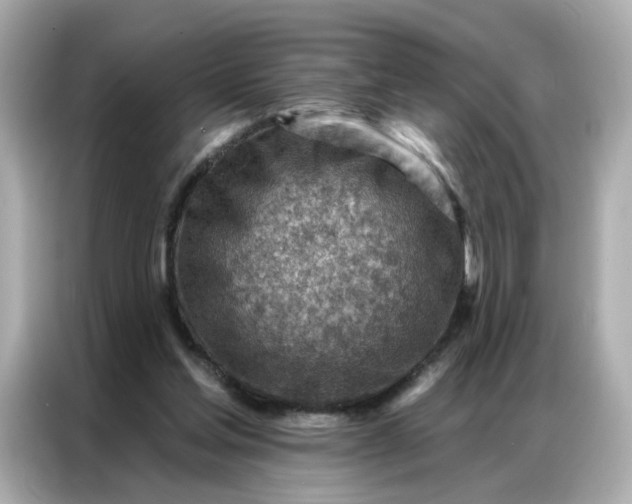 X0000086930205200704301124