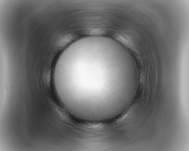 X0000086930206200704301124