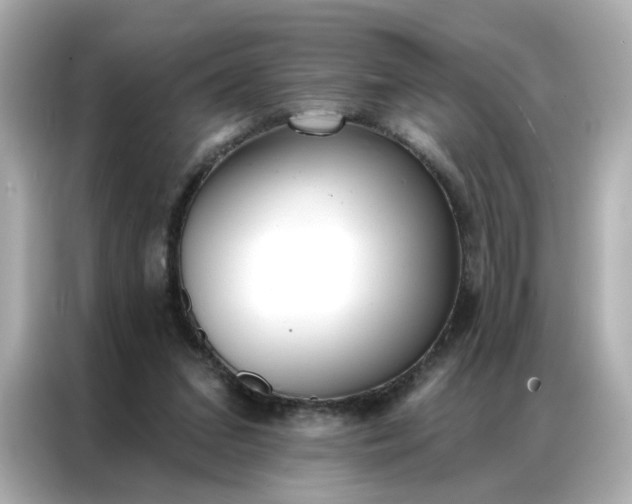 X0000086930207200704301124