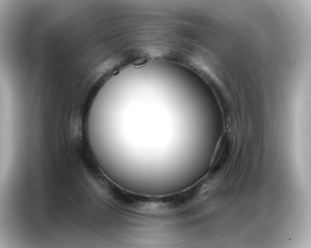 X0000086930212200704301124