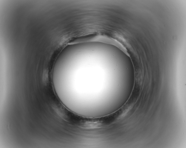 X0000086930213200704301124