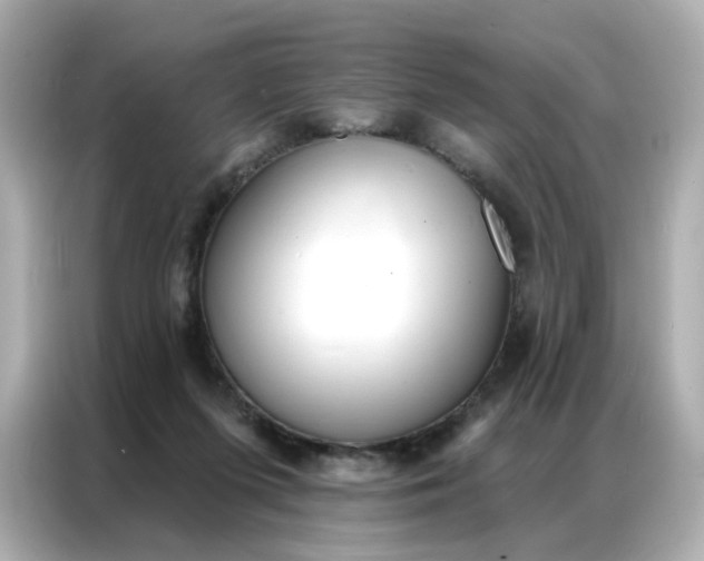 X0000086930215200704301124