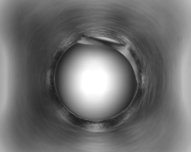 X0000086930217200704301123