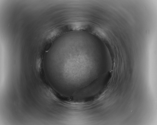 X0000086930219200704301123