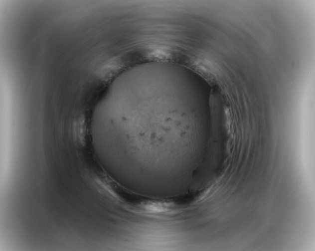 X0000086930223200704301123