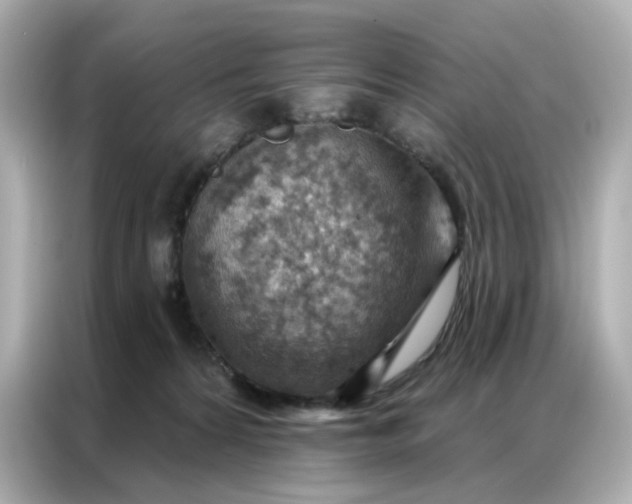 X0000086930224200704301123