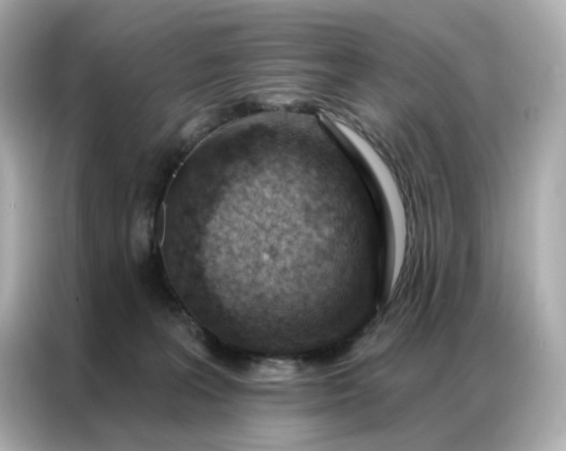 X0000086930227200704301123