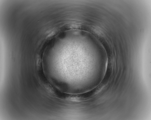 X0000086930228200704301123