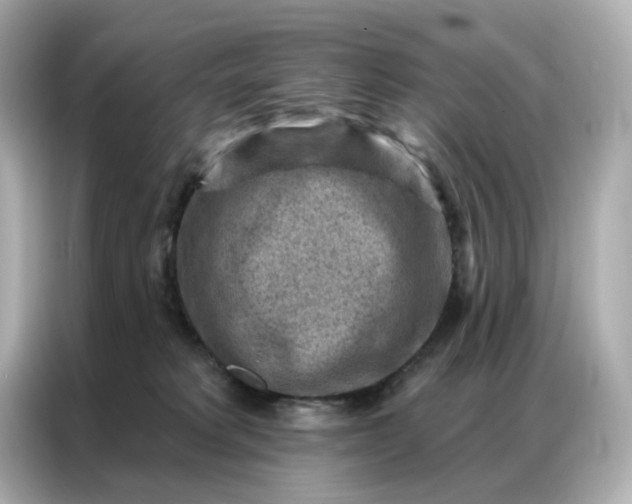 X0000086930229200704301123