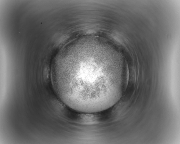 X0000086930230200704301123