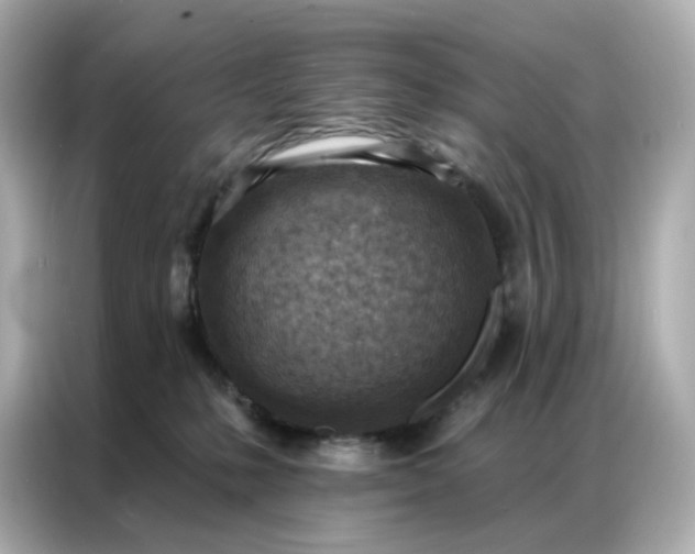 X0000086930231200704301123