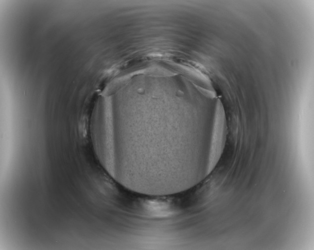 X0000086930232200704301123