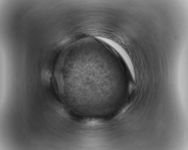 X0000086930235200704301123