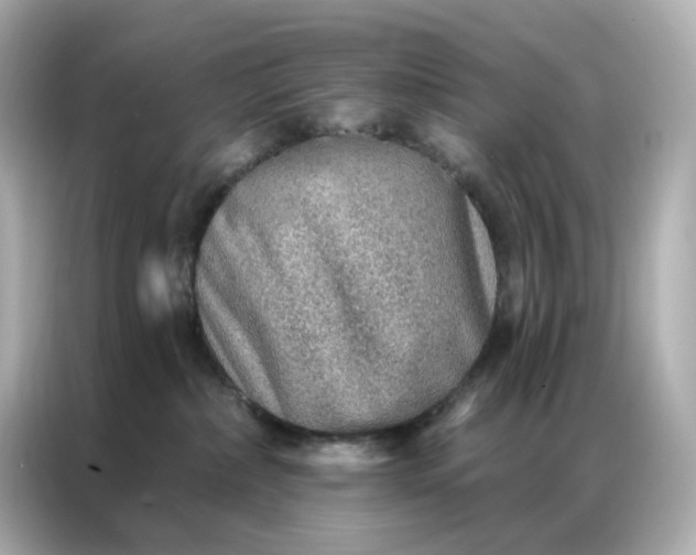 X0000086930236200704301123