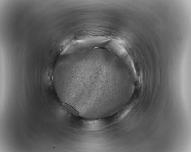 X0000086930237200704301123