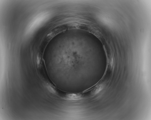 X0000086930239200704301123