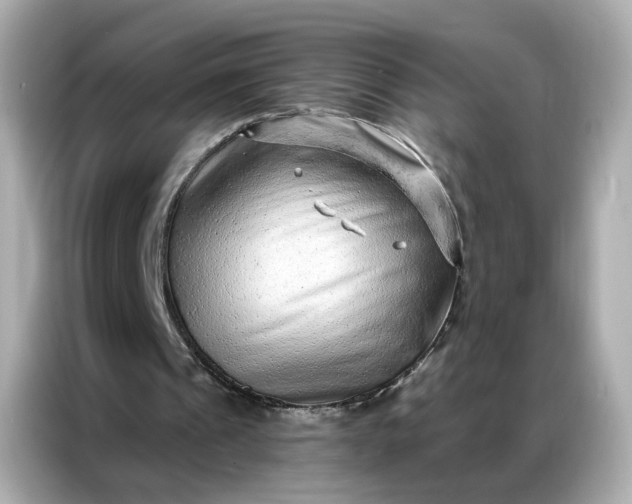 X0000086930241200704301123