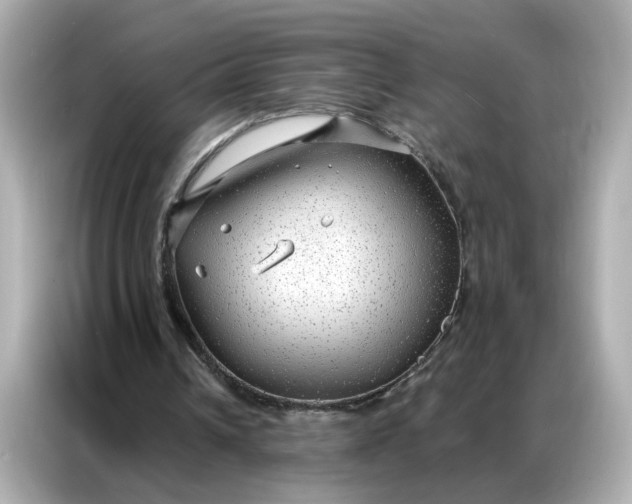 X0000086930242200704301123