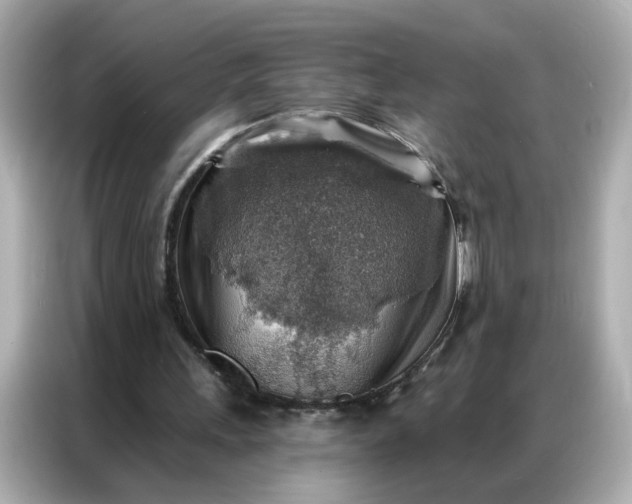 X0000086930243200704301123