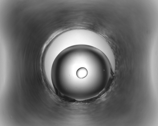 X0000086930244200704301123