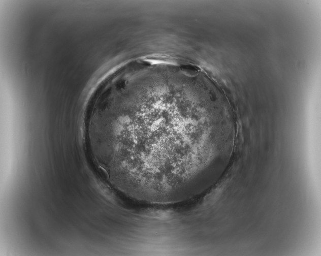 X0000086930247200704301123