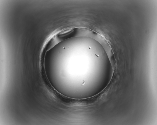 X0000086930248200704301123