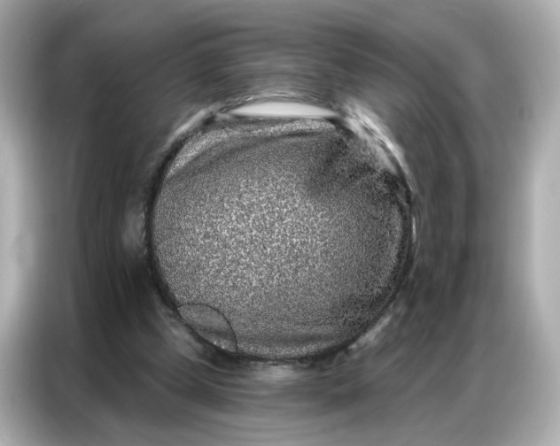 X0000086930249200704301123