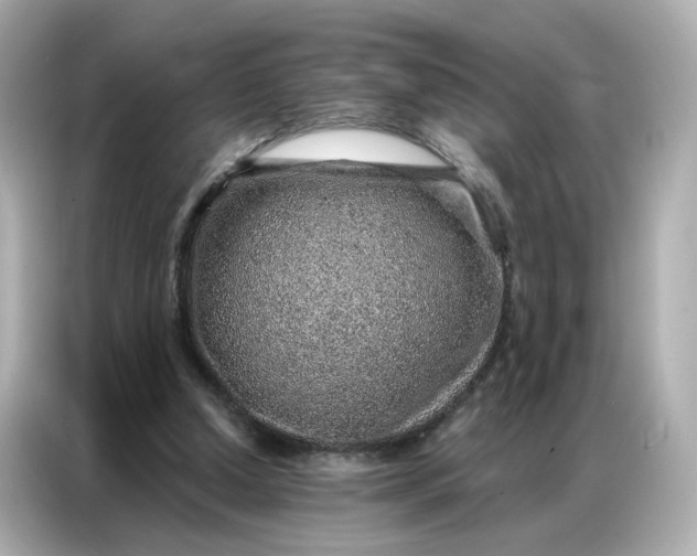 X0000086930250200704301123