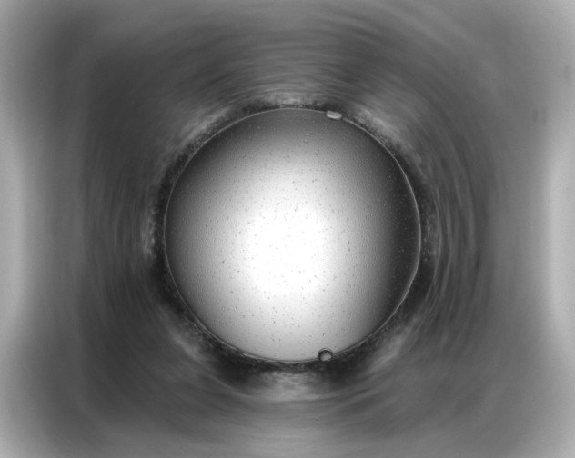 X0000086930255200704301123