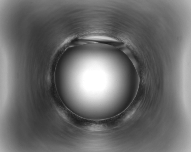 X0000086930256200704301123