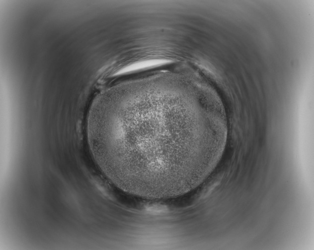 X0000086930258200704301123