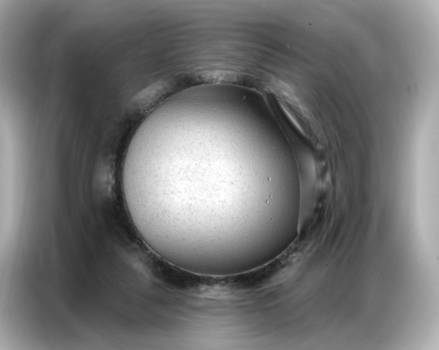 X0000086930259200704301123