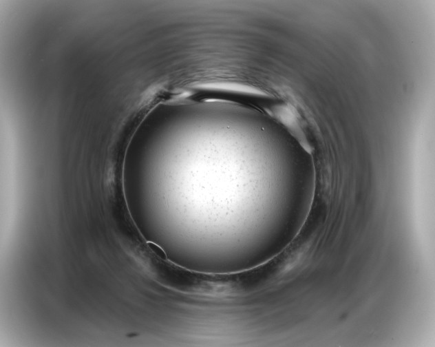 X0000086930260200704301123