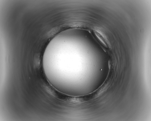 X0000086930261200704301123