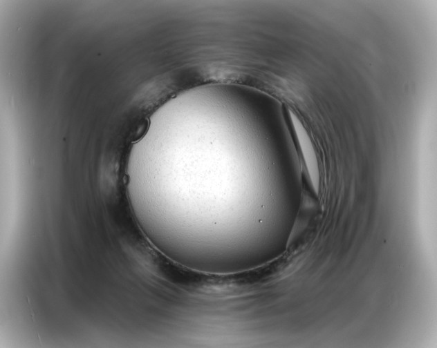 X0000086930263200704301123