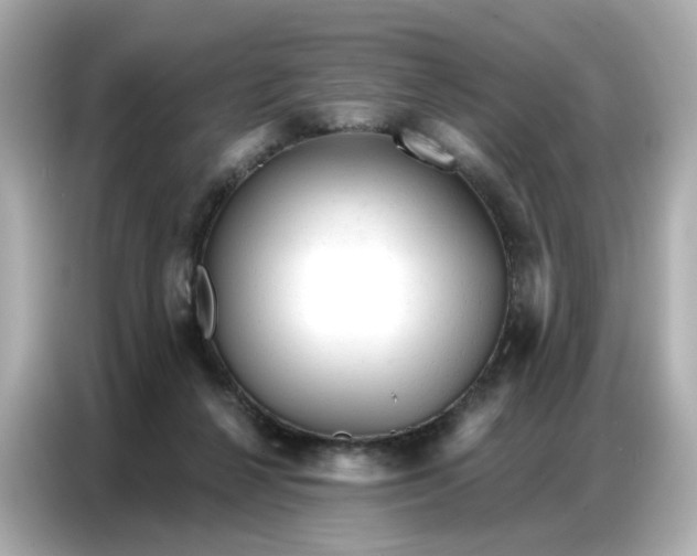 X0000086930264200704301123