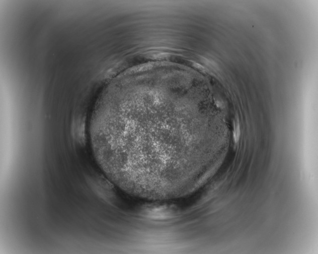 X0000086930267200704301123