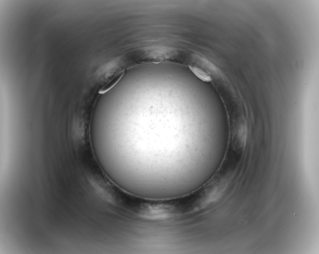 X0000086930268200704301123