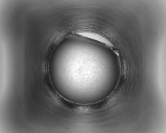 X0000086930272200704301123