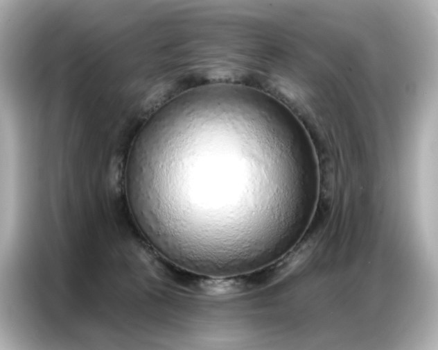 X0000086930273200704301123