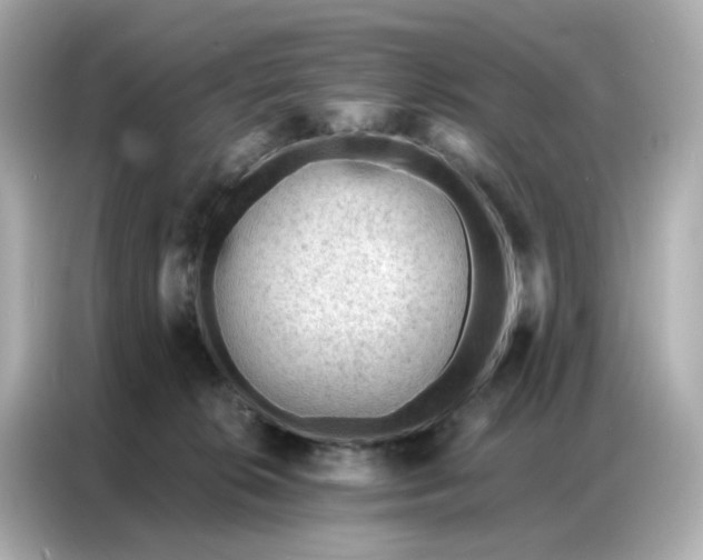 X0000086930276200704301123