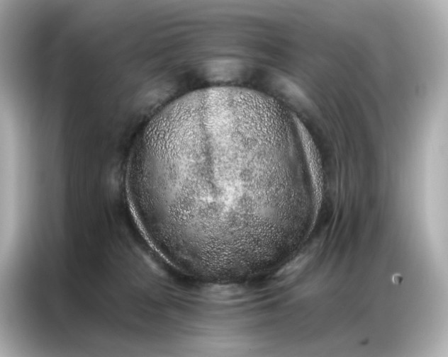 X0000086930277200704301123