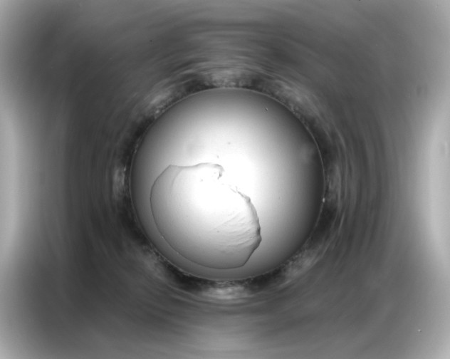 X0000086930278200704301123