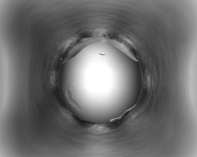 X0000086930280200704301123