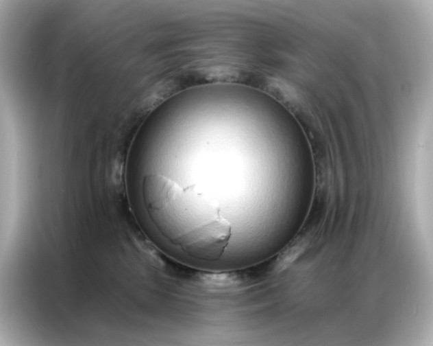 X0000086930281200704301123