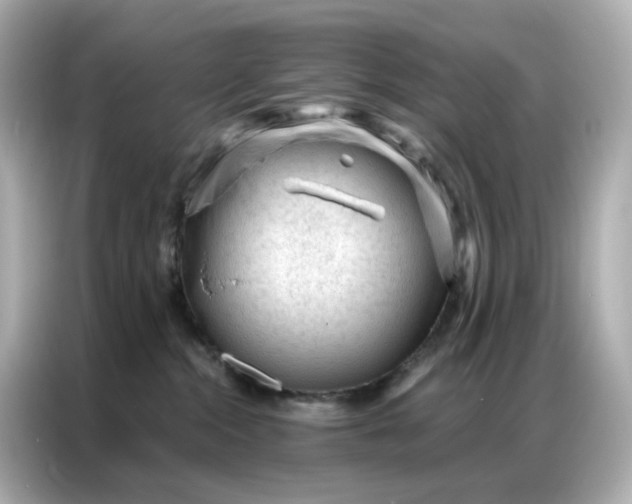 X0000086930284200704301123